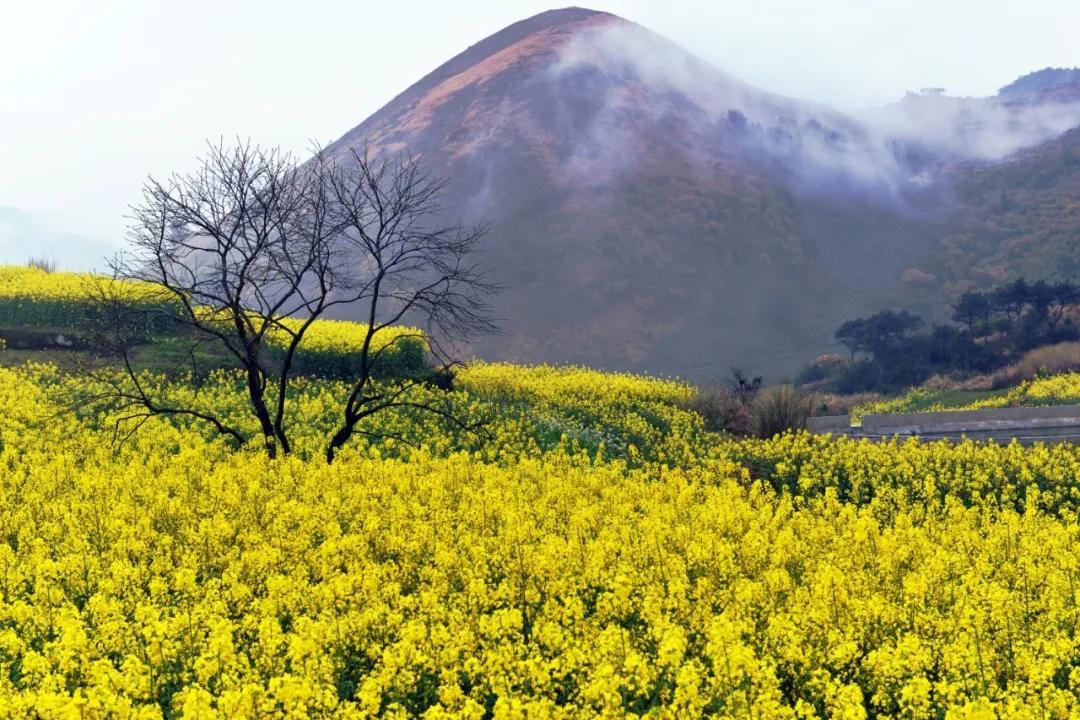 台州藏在深山里的世外桃源,台州家乡春天的美景