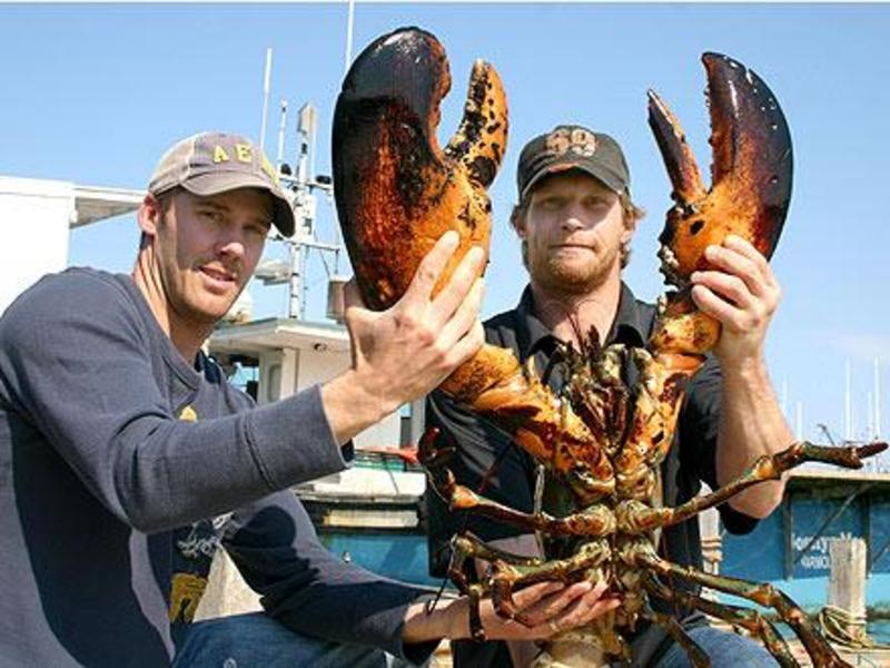 美国肉类过剩,美国猪肉堆积如山原因