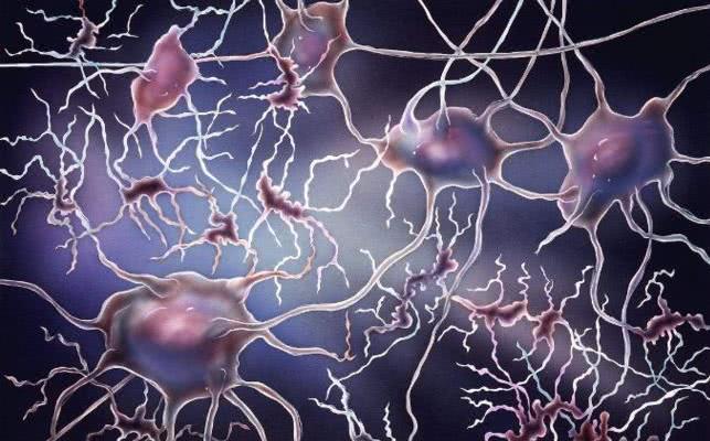 大脑的神秘现象,大脑意识之谜