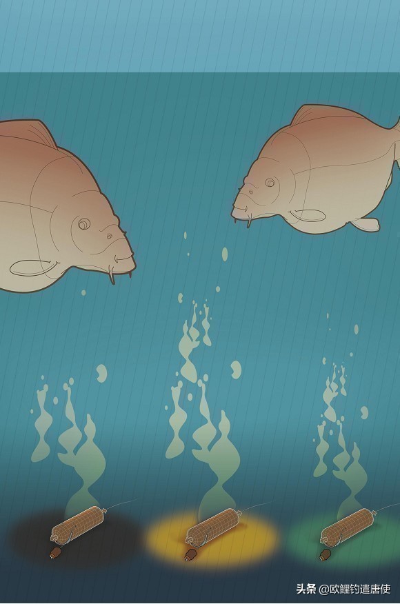 夏季下雨过后钓鱼应如何选择钓位,夏季垂钓这3个钓位上鱼超多