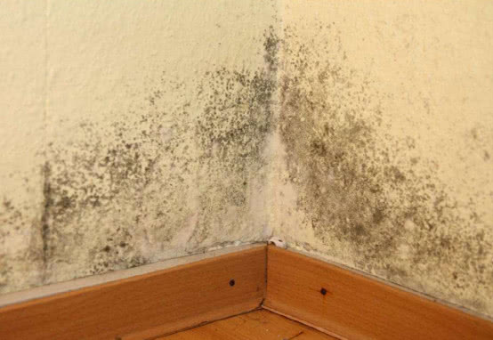 住在一楼屋里潮湿,住在一楼的家里太潮湿有霉味