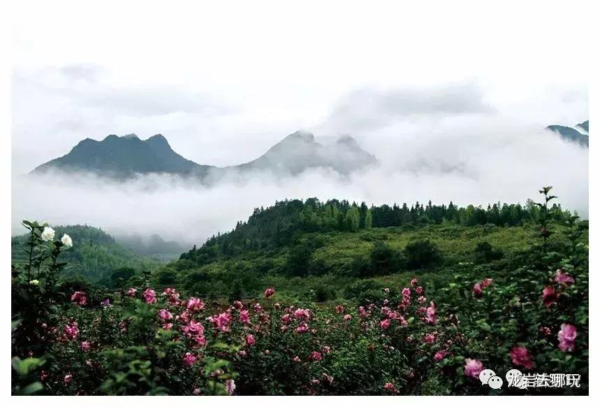 新罗区著名景点有哪些地方,新罗区景点排行榜前十名