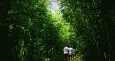 裸心堡折扣,裸心堡观景攻略