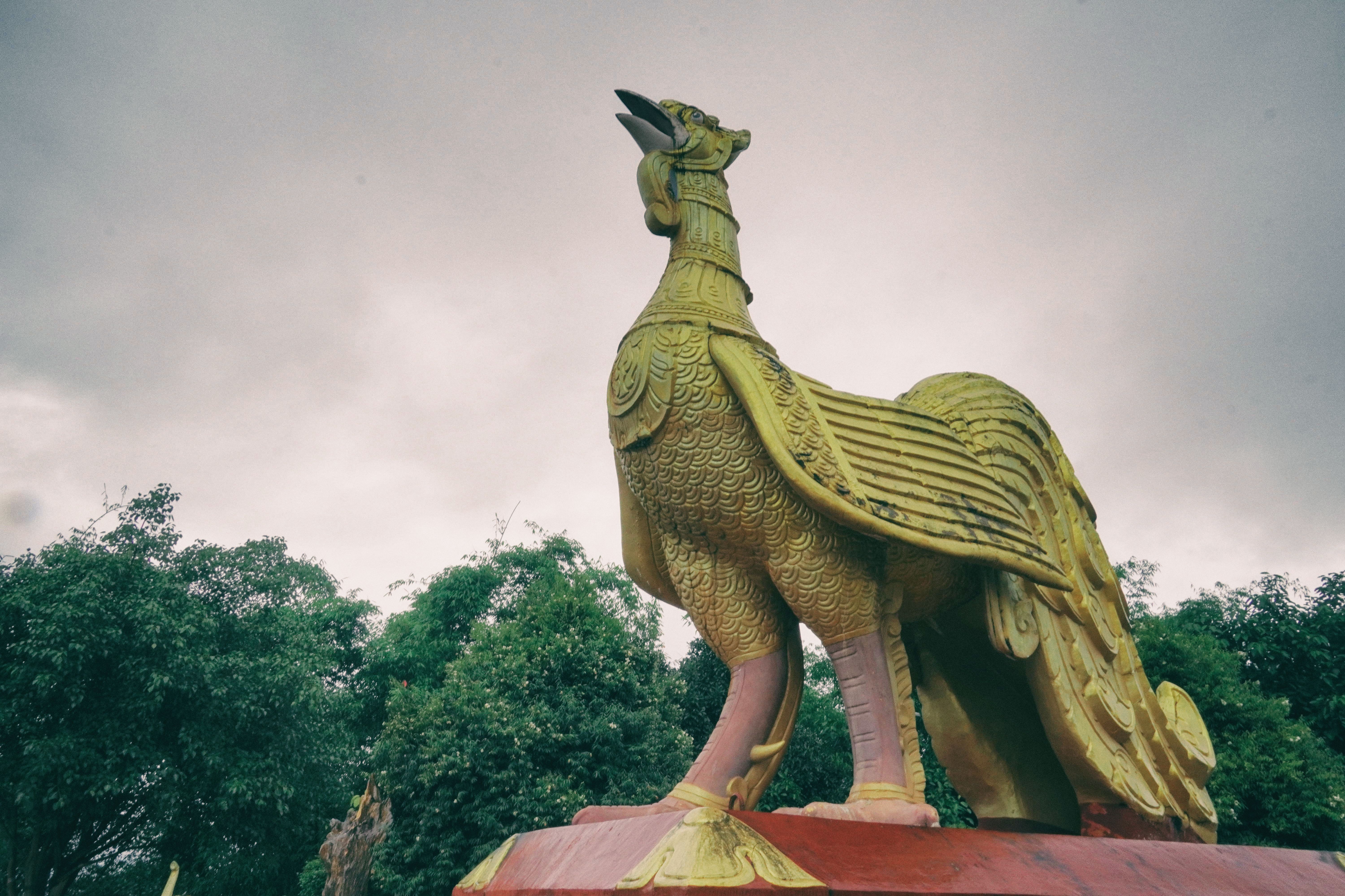 在祖国的边疆,在祖国西南边陲的云南省