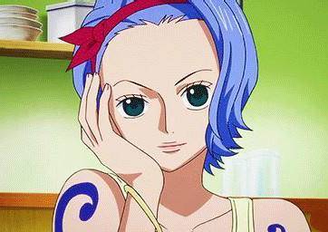 海贼王里十大最漂亮的女性,海贼王女性角色介绍大全