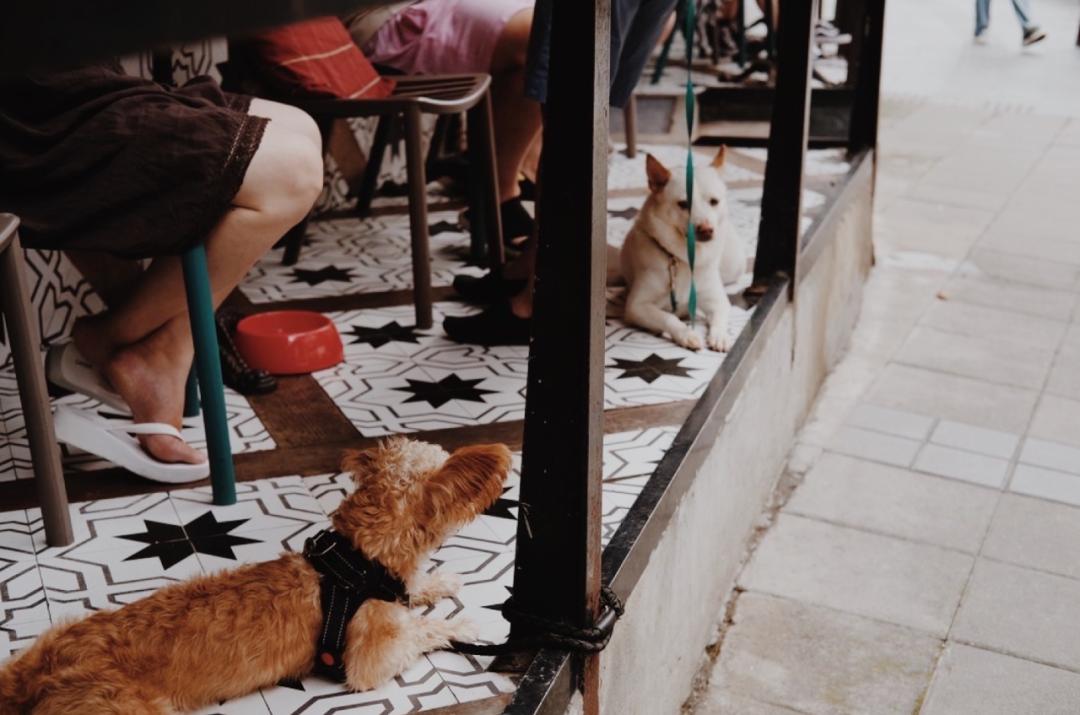 上海最值得逛的街是哪一条,上海最值得逛吃的马路