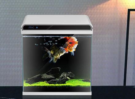 小米超白鱼缸带水草,超白玻璃鱼缸小米