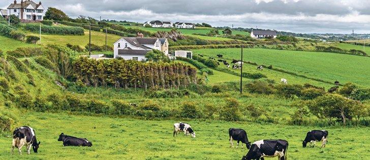 想脱单去哪找优质男,想脱单去哪里认识女孩