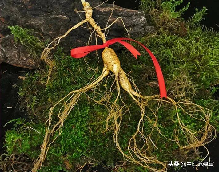 高血压人能吃蜂蜜吗,高血压患者可以吃人参蜜吗