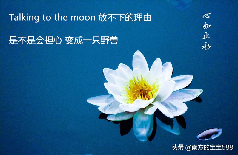 抖音最火歌曲撸呀撸呀2019年,2018上半年抖音最火10首歌听过7首