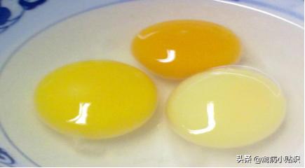 鸡软骨怎么处理,鸡蛋下降综合症如何防治