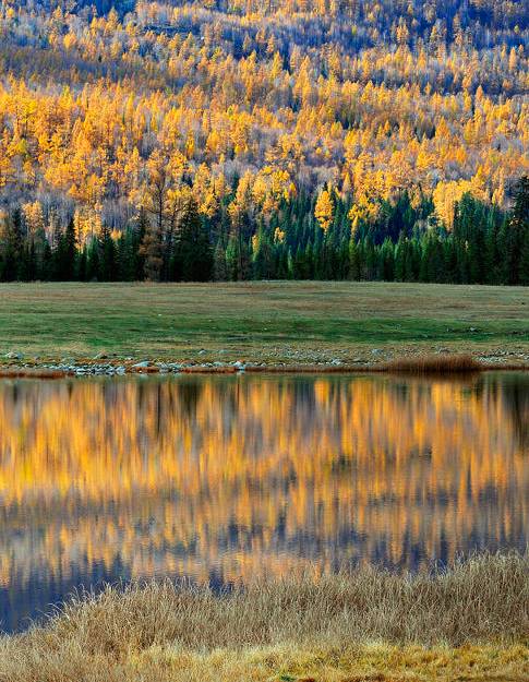 阿勒泰秋季旅行,新疆旅行阿勒泰秋天