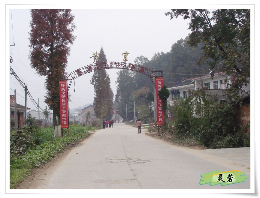 南郑县黄官藤编厂电话,南郑黄官镇黄酒