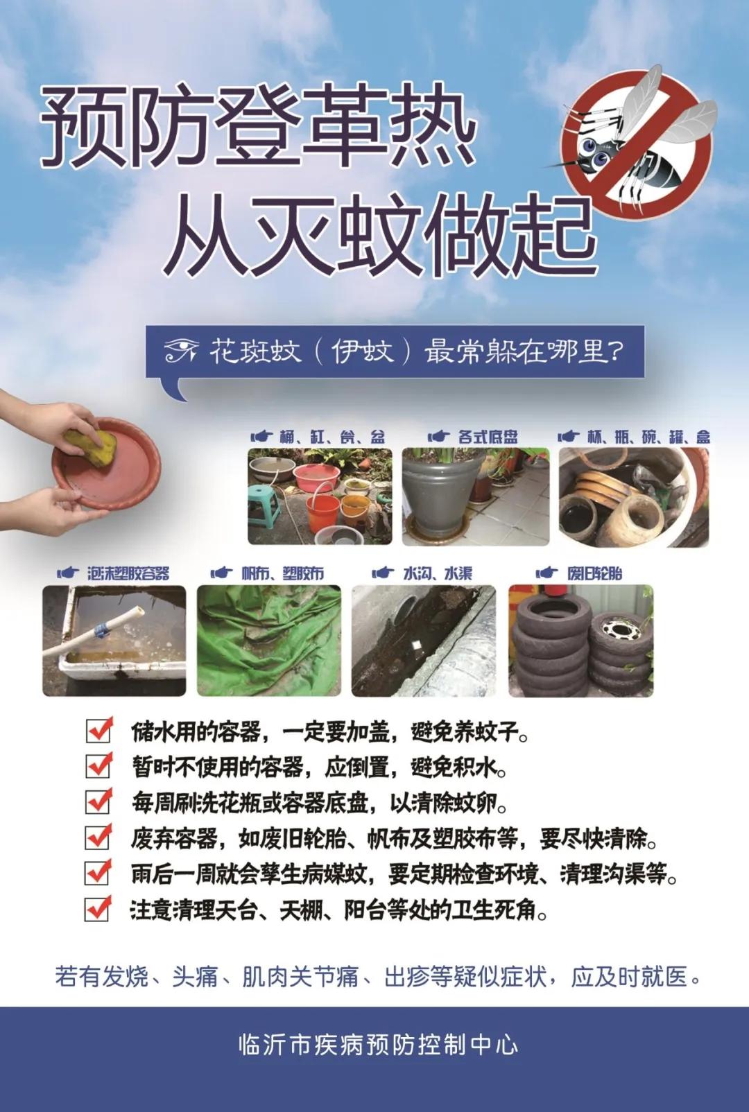 警惕！又到“登革热”高发期，临沂疾控提醒：慎防蚊子“叮！叮！叮！”