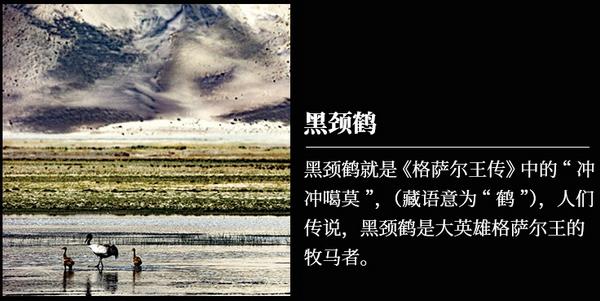 澎湃新闻专访｜摄影师卡布：理解生活方式，了解生活仪式