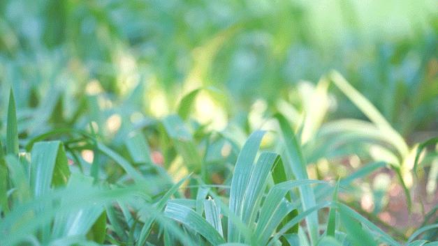 cpl滤镜和nd滤镜更常用,nd滤镜和cpl滤镜