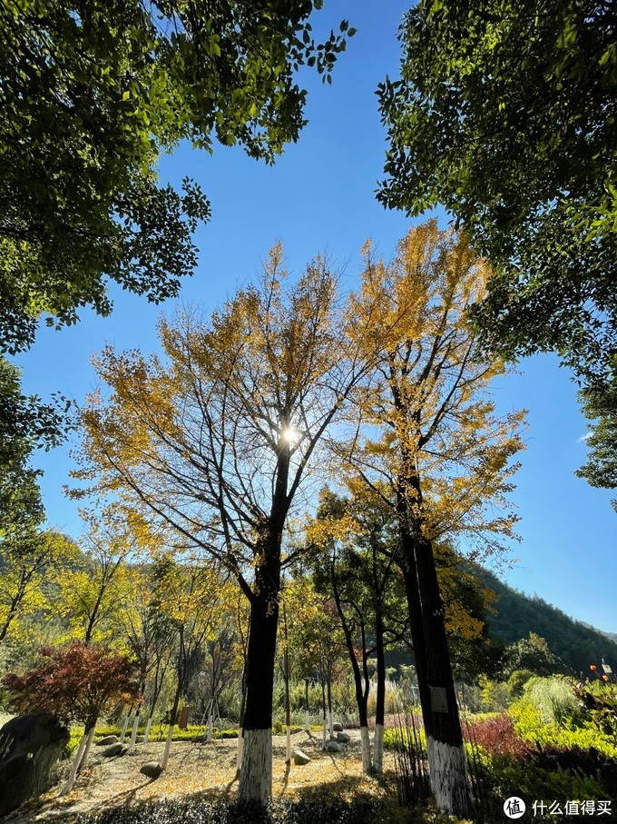 6s可以升级到12.4,6s升级到最新系统体验