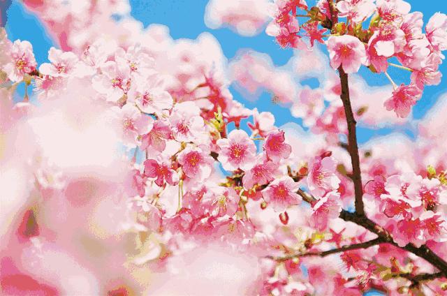 杭州免费的旅游景点攻略,杭州旅游攻略必去免费景点大全