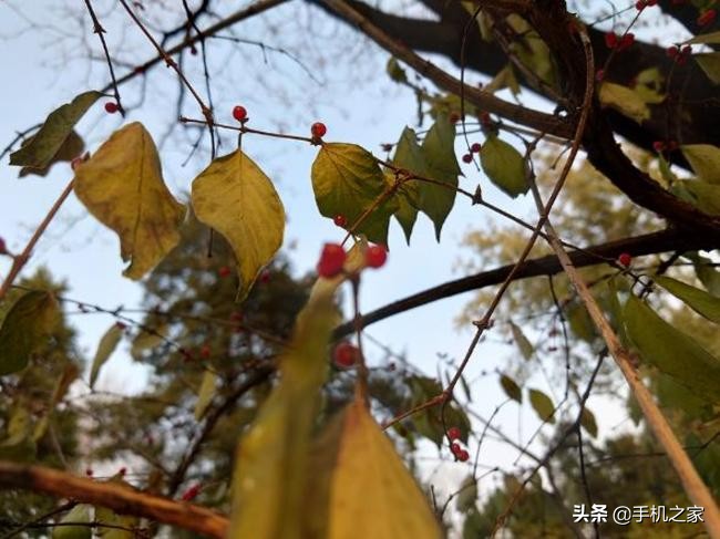 xperiapro-i拍摄体验视频,索尼微单手机xperiapro-i最新