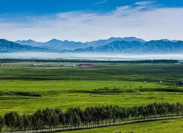 这就是昭苏，万物复苏的地方