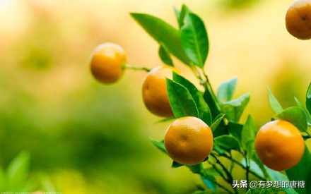 心理学怎么处理愤怒,心理学面对别人的恶意攻击不能忍