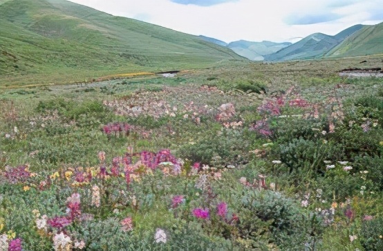 雅思口语hotel话题,雅思口语话题livingplace