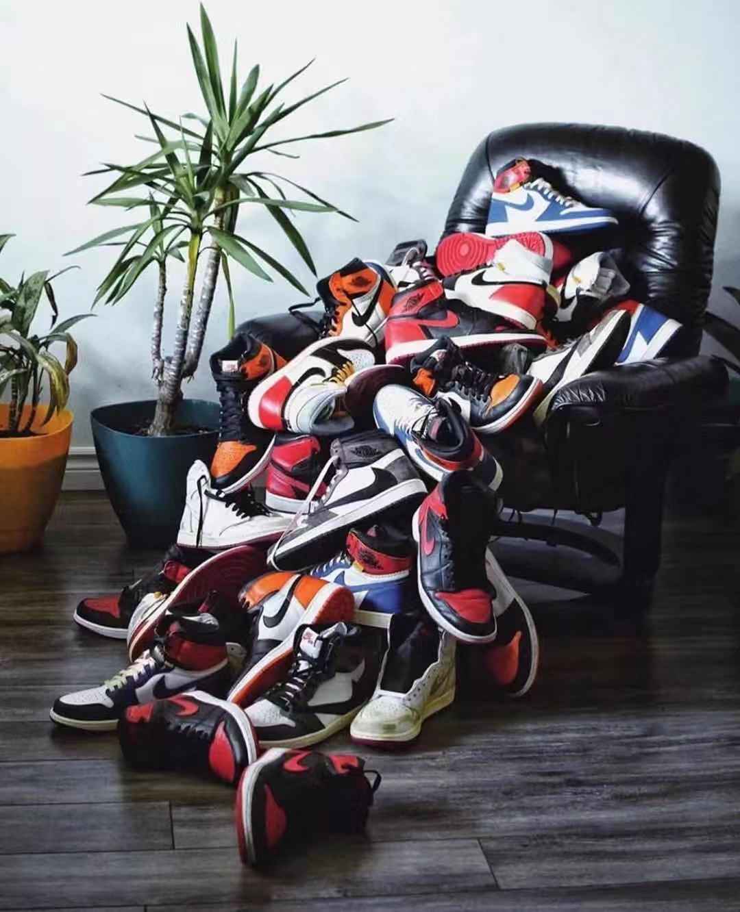 假鞋能验证正品吗,假鞋能过毒鉴定吗