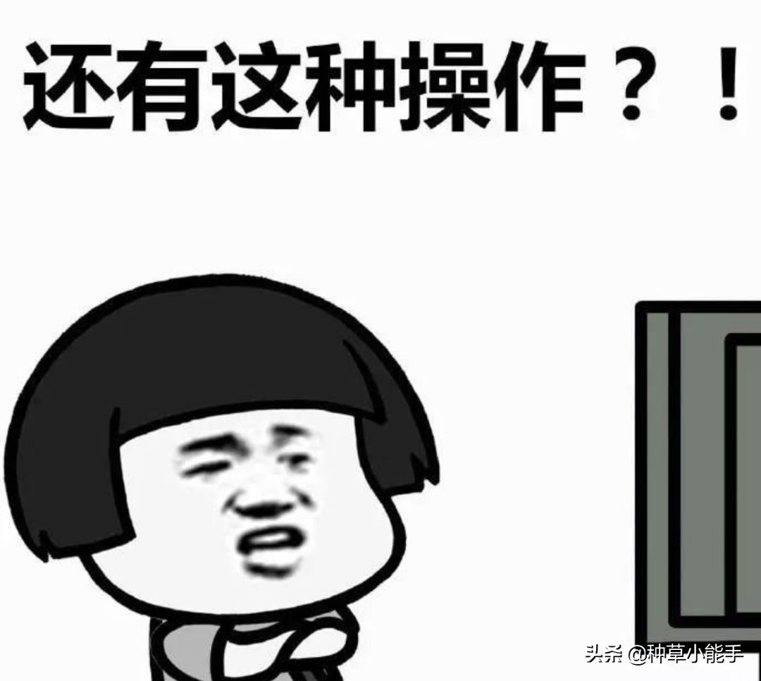 颜值使用感都在线的彩妆线为什么一直不红？GUCCI麻烦你反思一下