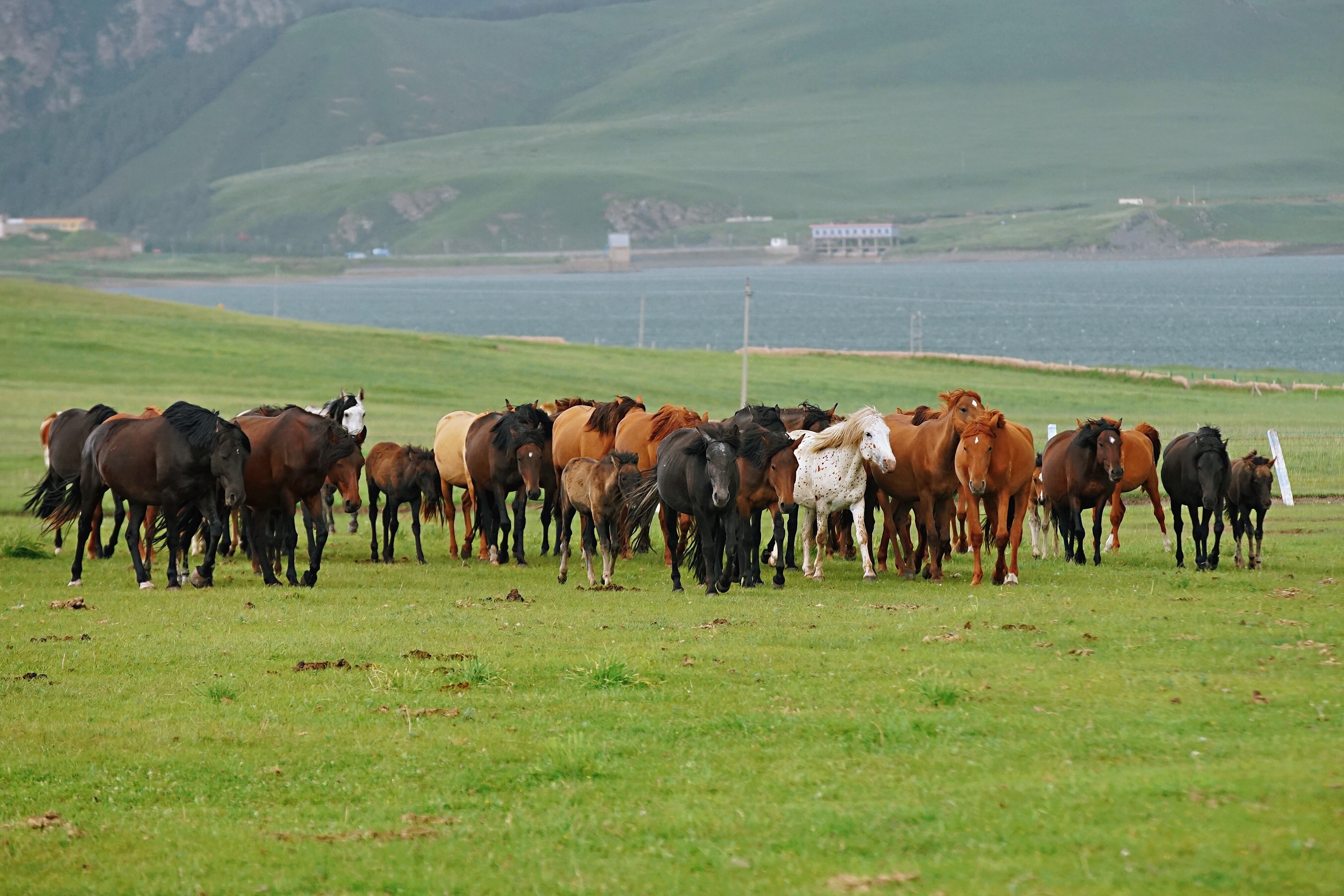 甘肃小众旅游地人少景美人间仙境,甘肃最适合旅游的城