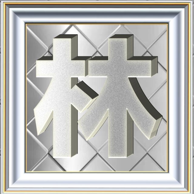 3D立体白金字体姓氏微信头像精选，超级棒