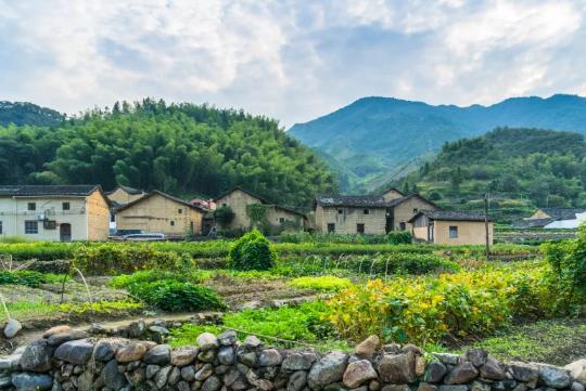 雄黄粉能驱蛇吗对人畜有无危害,蛇为什么害怕雄黄粉