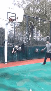 宝妈带孩子被吐槽,父亲节宝妈对宝爸说的话搞笑