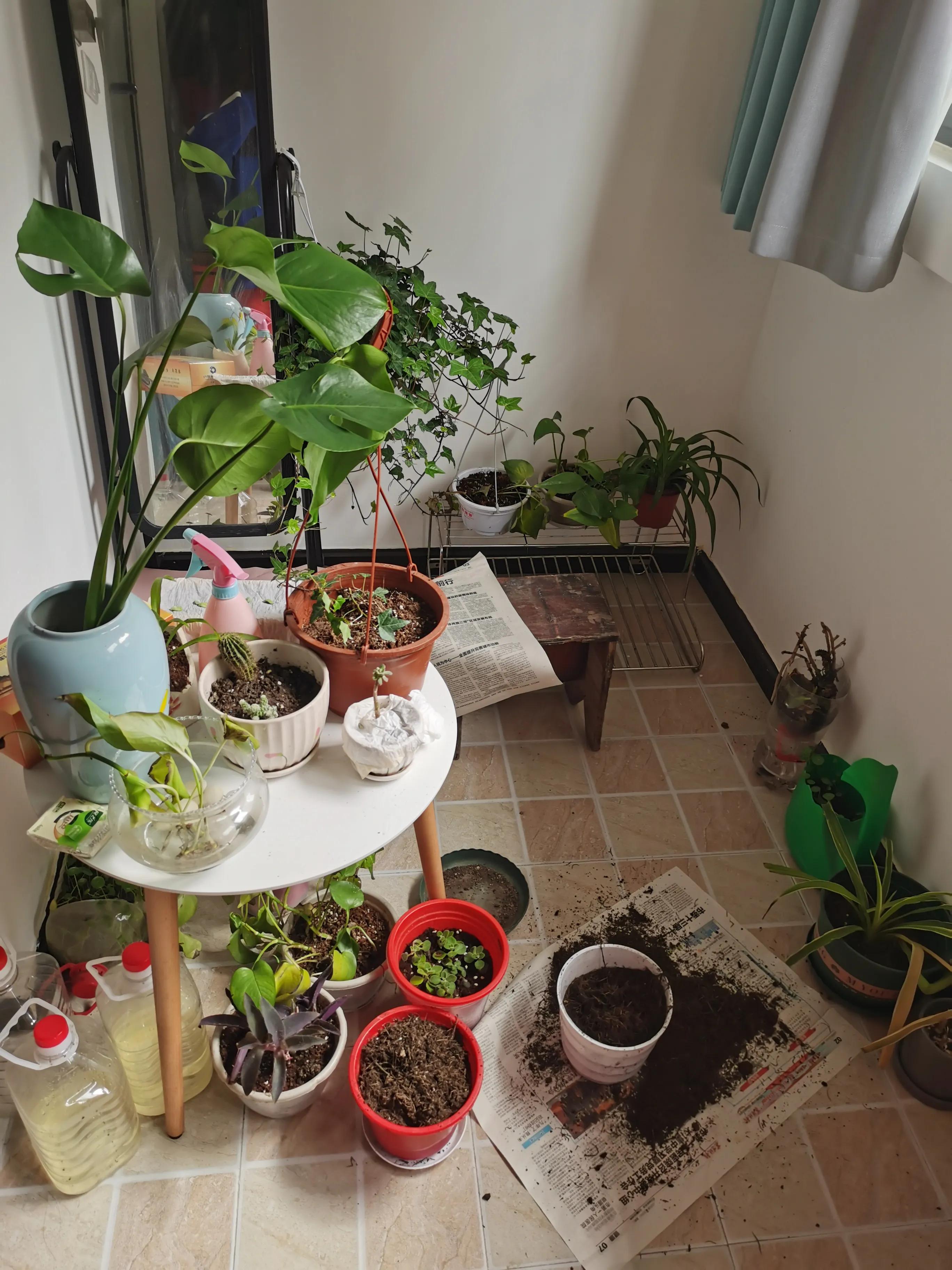 大学生毕业后买房的真实经历,00后刚毕业在县城买套房要多久