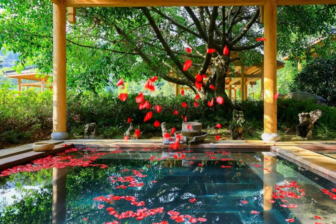 黄果树柏联温泉酒店是几星级酒店,黄果树柏联酒店在景区内怎么进去