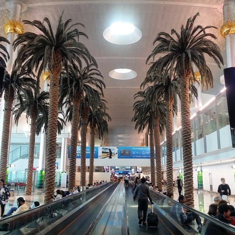 推荐机场免税好物,免税店便宜实惠必买清单