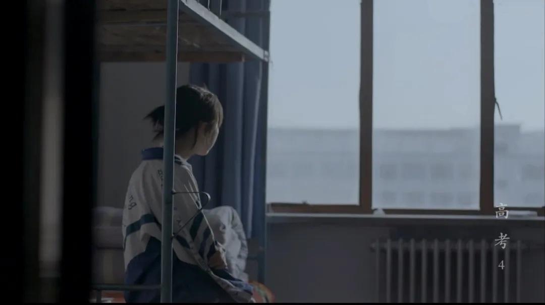 央视纪录片10岁儿童必看的十部,央视纪录片9分以上