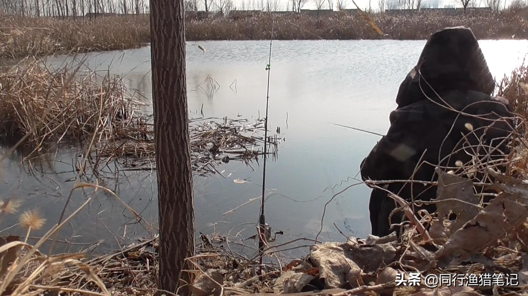 路亚串钩的钓法和技巧,路亚串钩钓法用几号钩