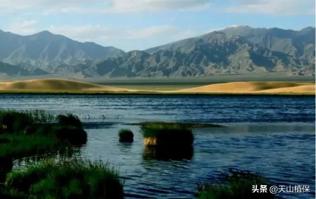 新疆有20个重要知识点,疆新