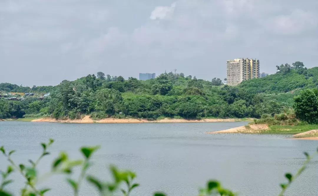 民治片区有未来吗,民治有什么特色