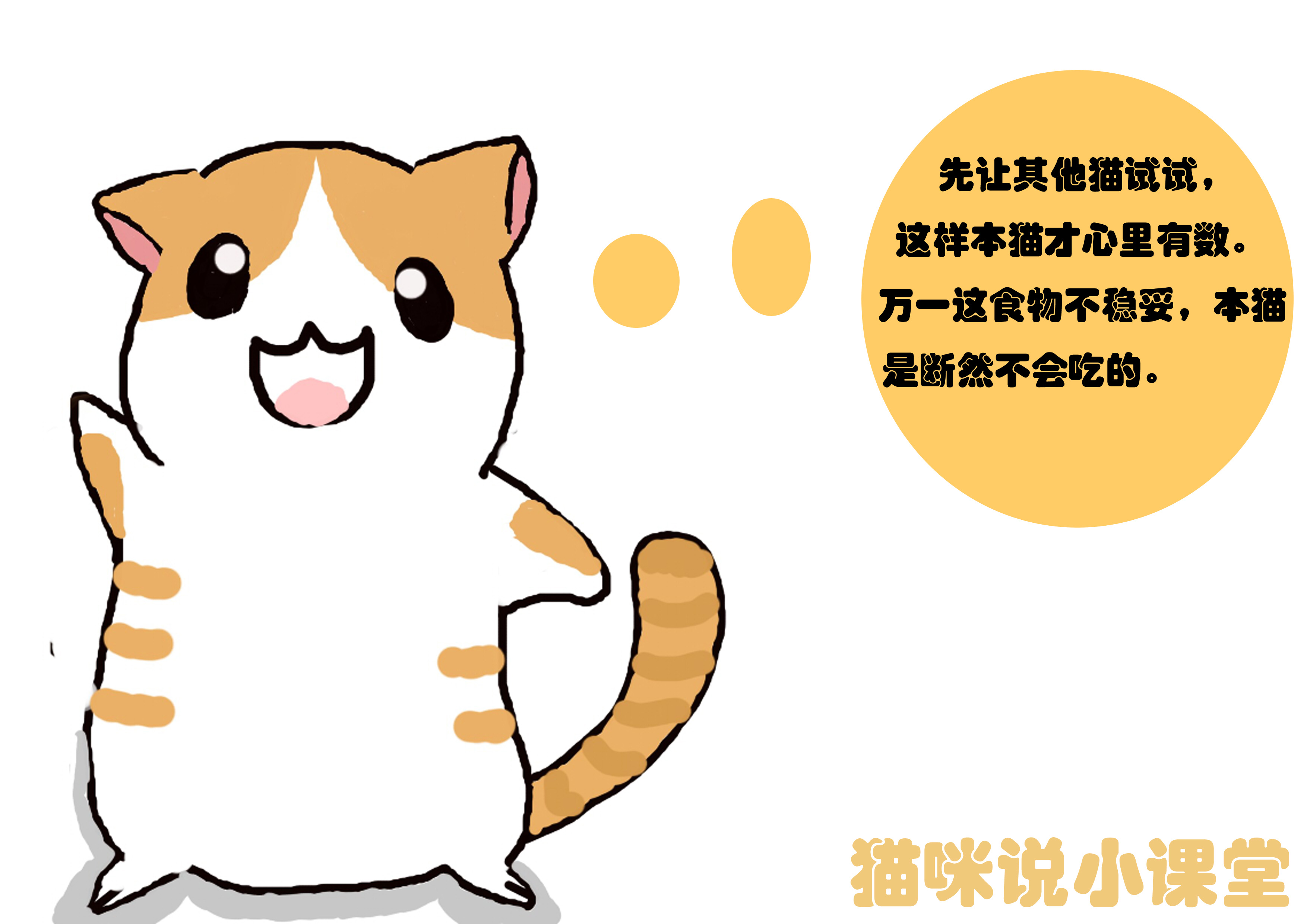 聪明小猫的特点,聪明小猫的智力有多高