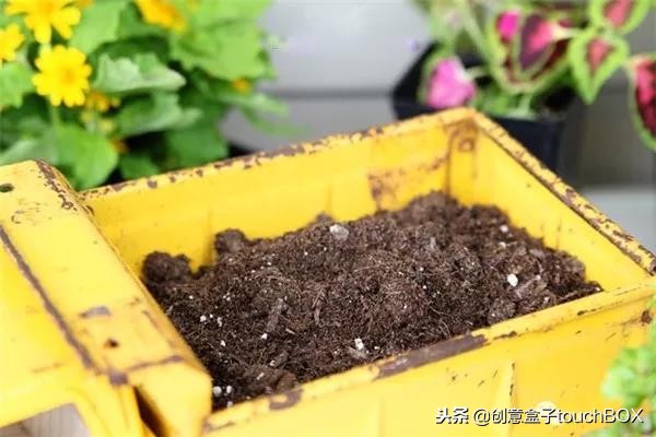 旧玩具车改造成新玩具,高手改造旧汽车玩具