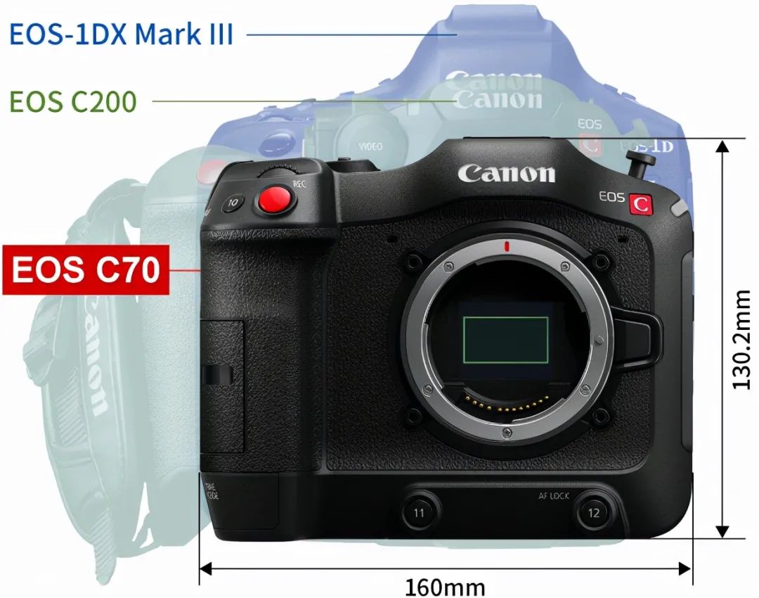 佳能aps-c半幅相机推荐,佳能发布rf卡口的apsc相机在哪买