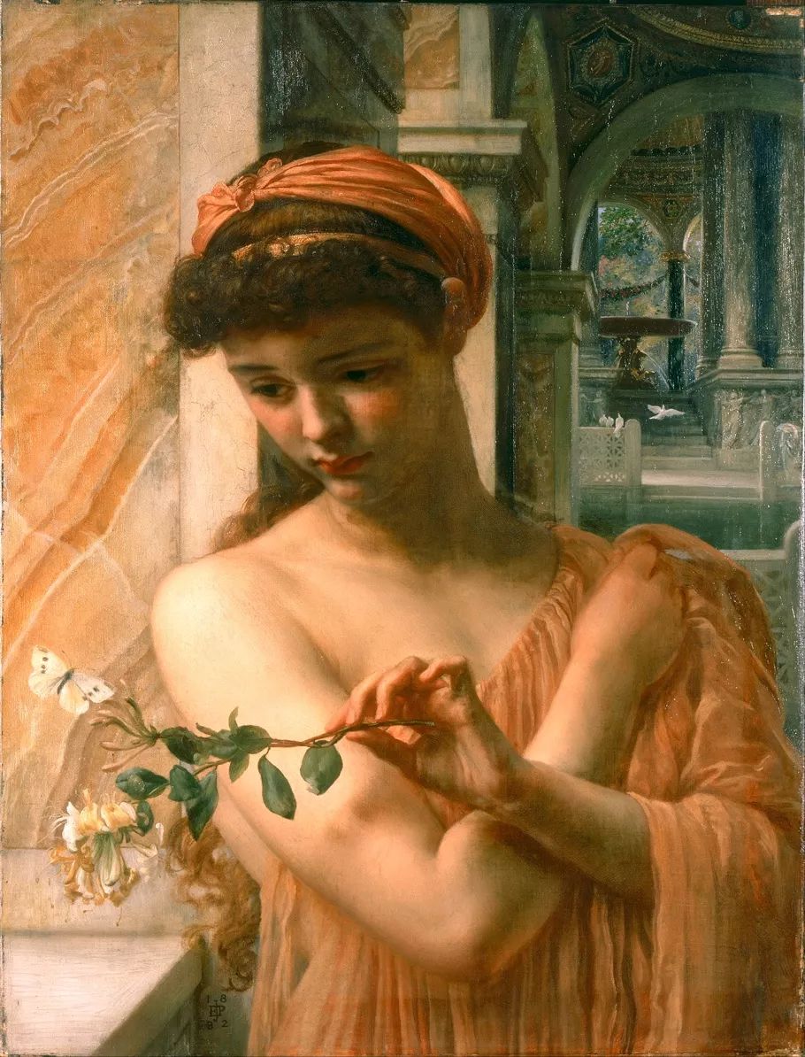 爱神丘比特坠入爱河,爱神丘比特为什么是个小孩子