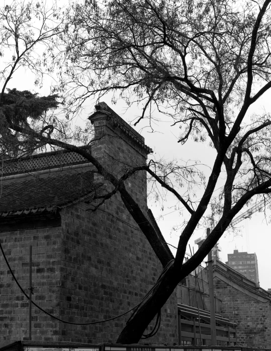 南京的老城南是哪里,南京老城南