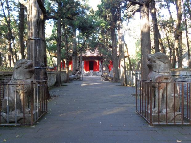 孔林是最大的氏族墓地吗,孔林各个时代的墓葬