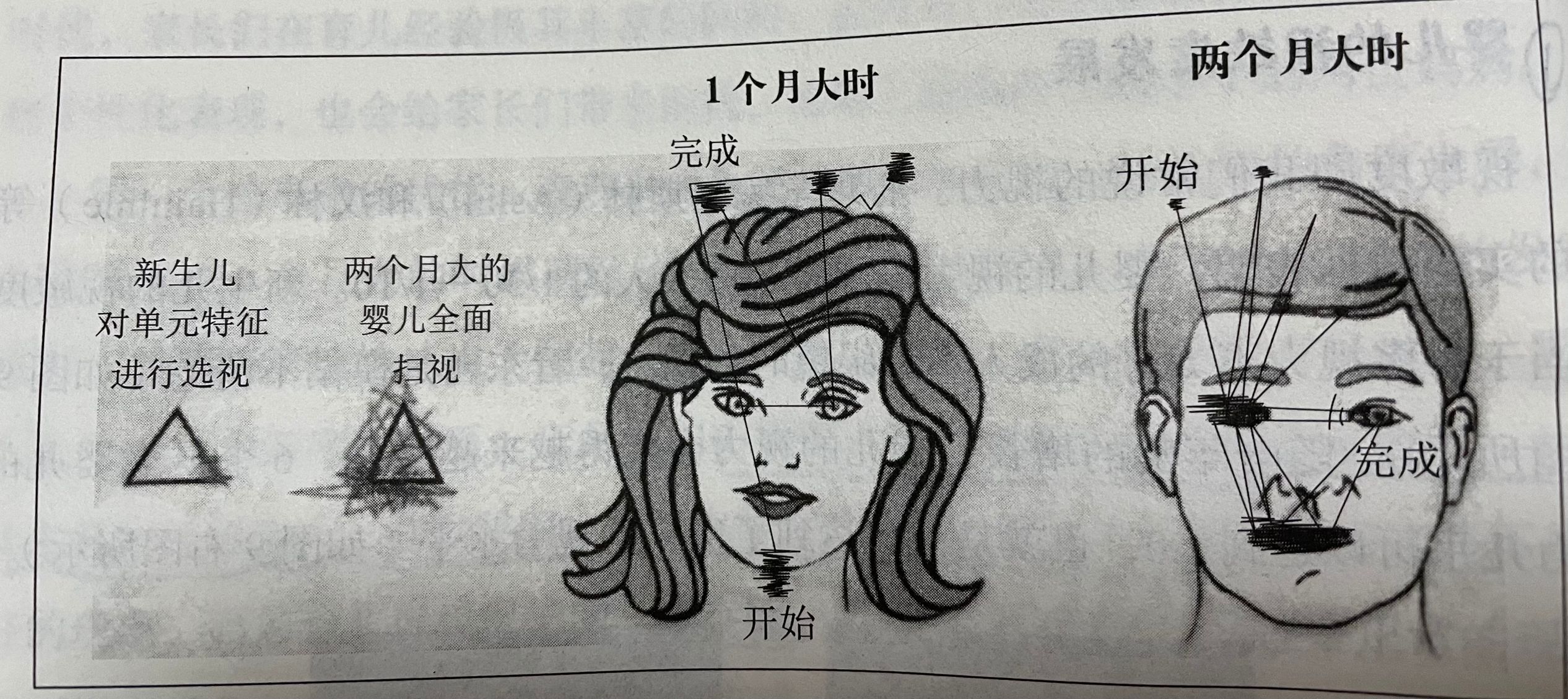 两岁半的孩子还认生？与婴儿认生期有关，怎样帮孩子度过认生期