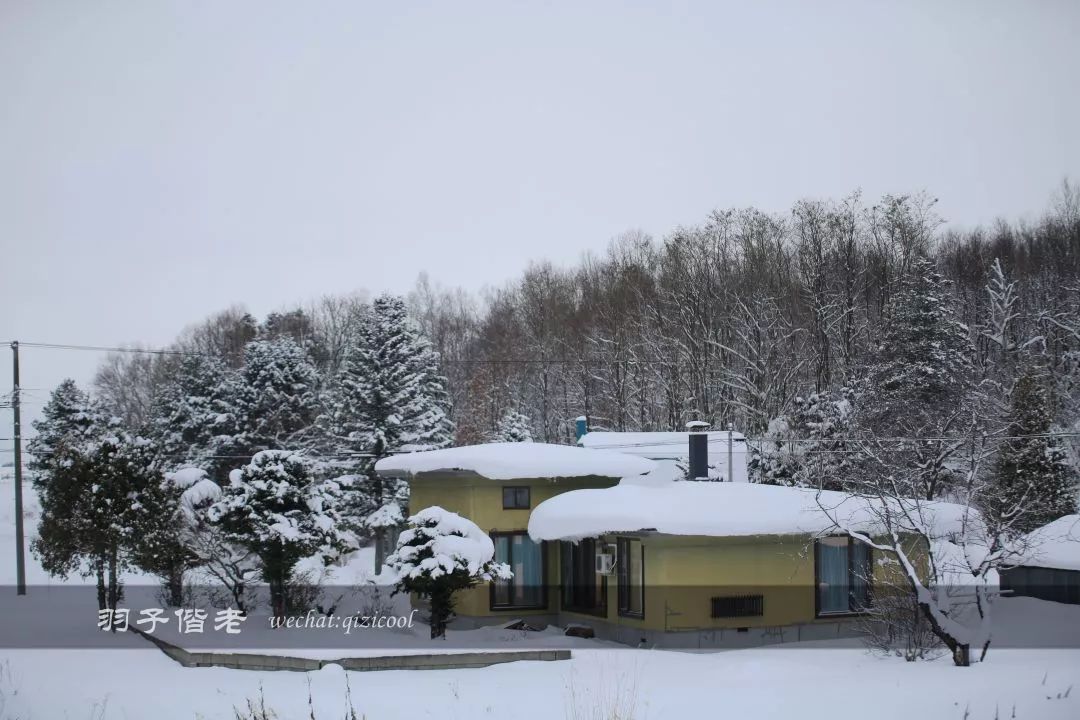 老实说,这一趟北海道就是为了拍好看的照片去的