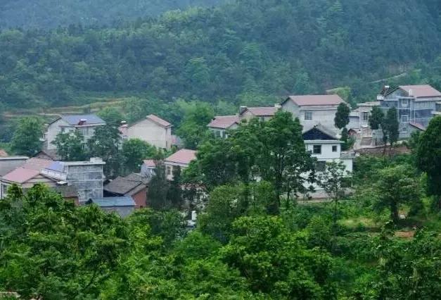 一封家书敬爱的祖母,我敬爱的祖母图片