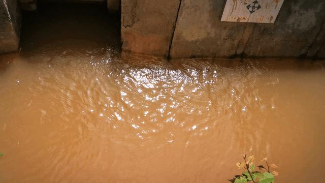 中国用了占世界多少的耕地,我国用占世界百分之几的耕地