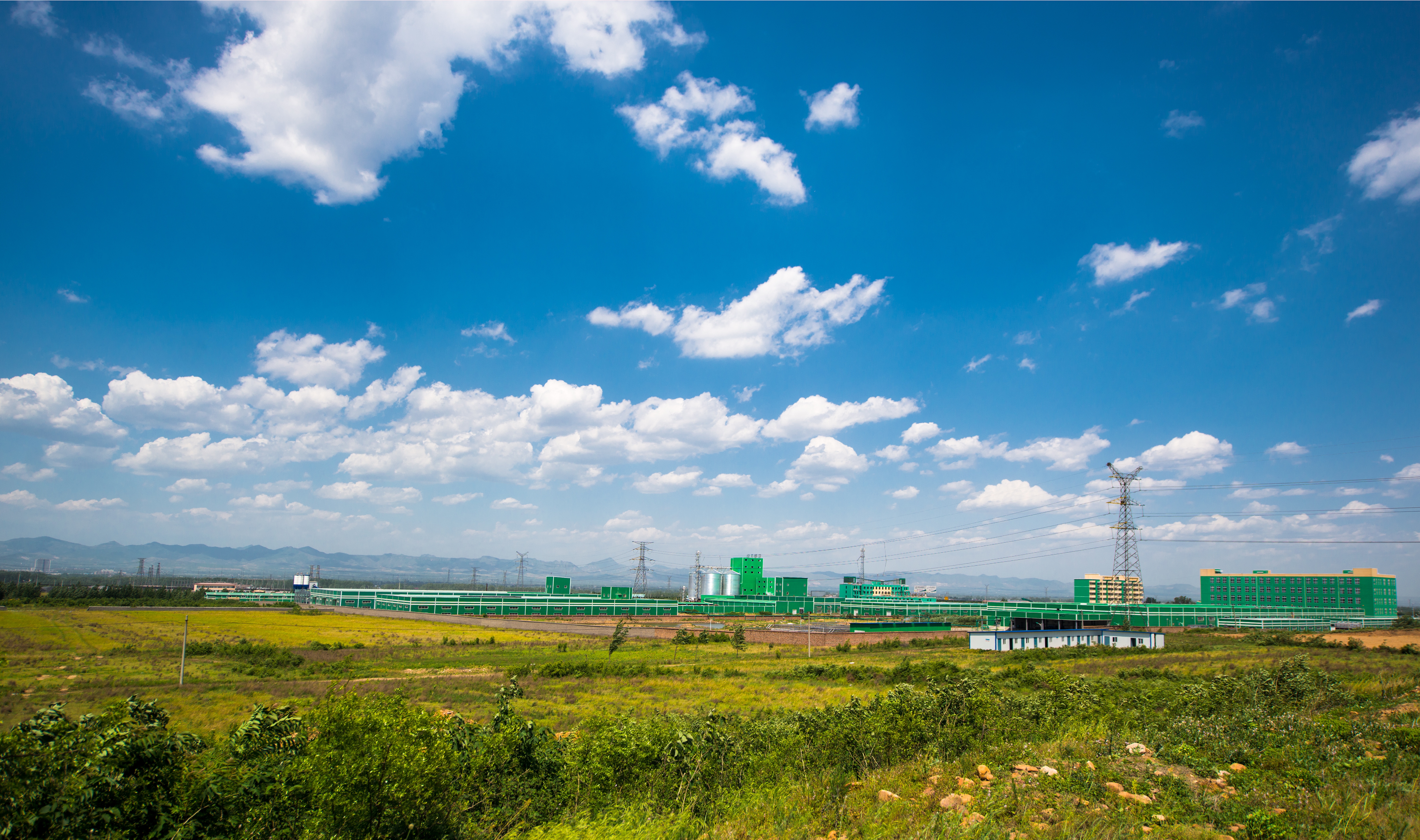 父母生病可以为父母做些啥,面对重病的父母我们应该怎么做